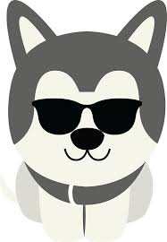 cute husky sunglasses (1)